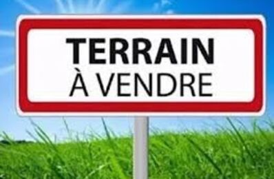 vente terrain 59 000 € à proximité de Rosoy-le-Vieil (45210)