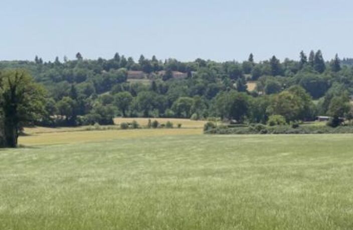 Villa 450 m2  sur un parc de 4000 m2 — photo 5