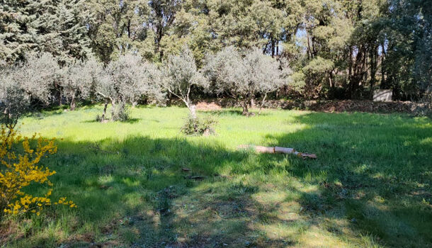 Terrain  à vendre Pignans 83790