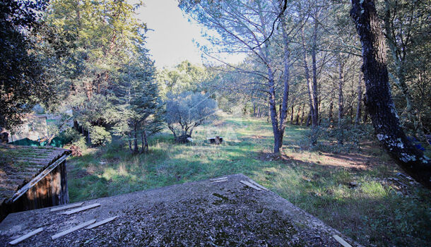 Terrain  à vendre Pignans 83790
