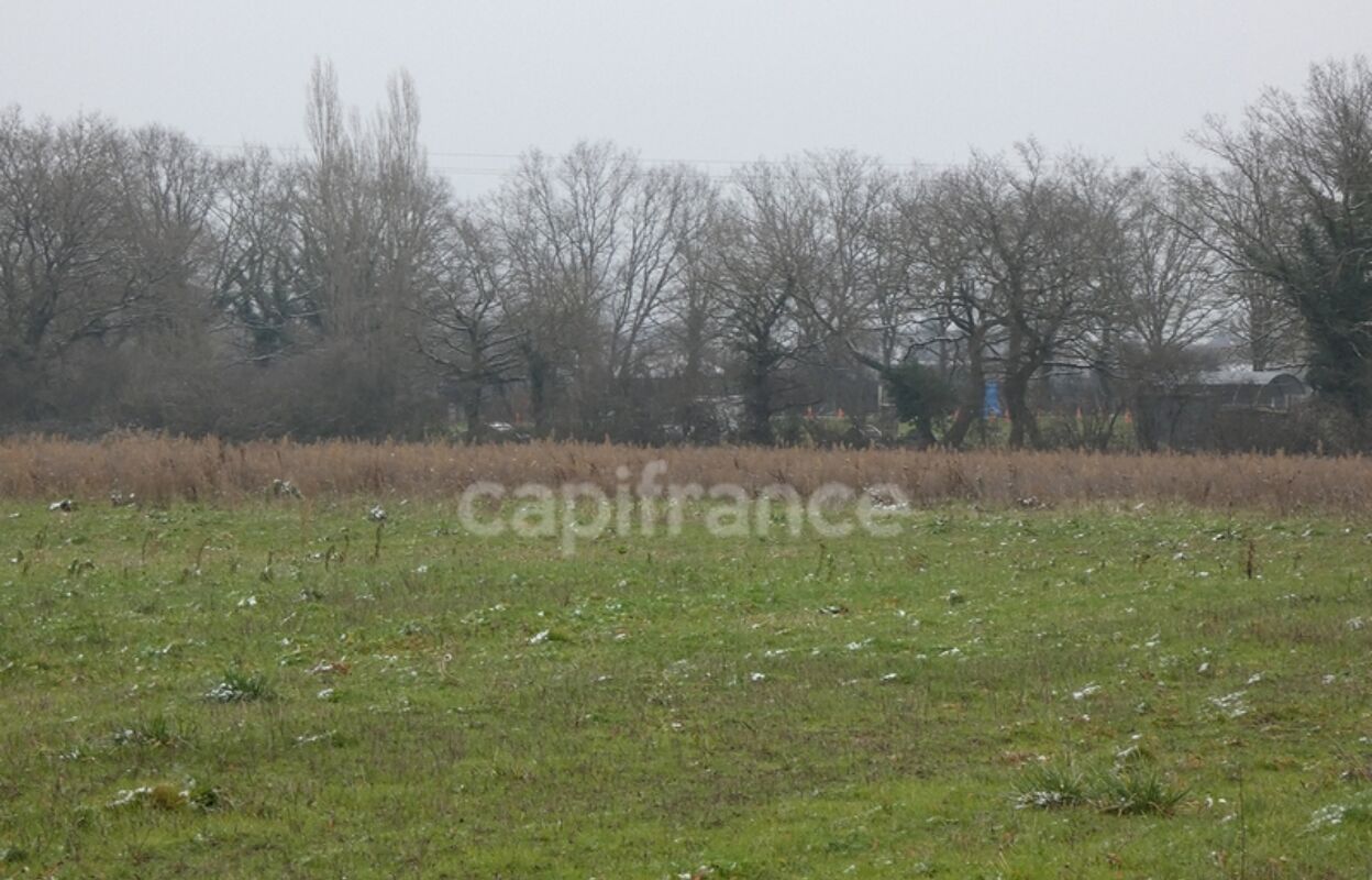 terrain  pièces 1176 m2 à vendre à Saint-Christophe-en-Bresse (71370)