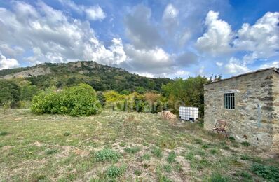 vente maison 80 000 € à proximité de Villeneuve-les-Corbières (11360)