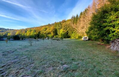 terrain  pièces 1700 m2 à vendre à Doulaincourt-Saucourt (52270)