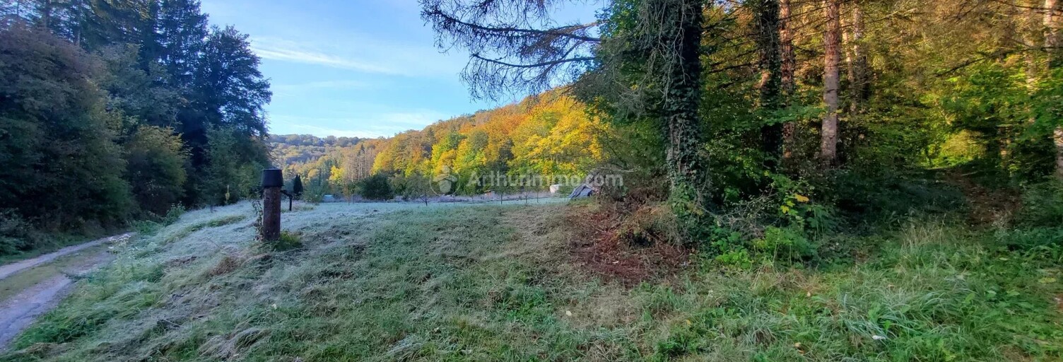 Terrain  1700 m² à vendre à Doulaincourt-Saucourt (52270)