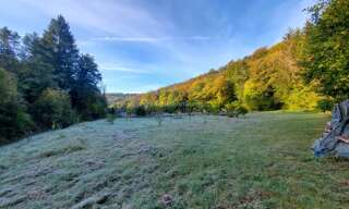 Terrain  1700 m² à vendre à Doulaincourt-Saucourt (52270)