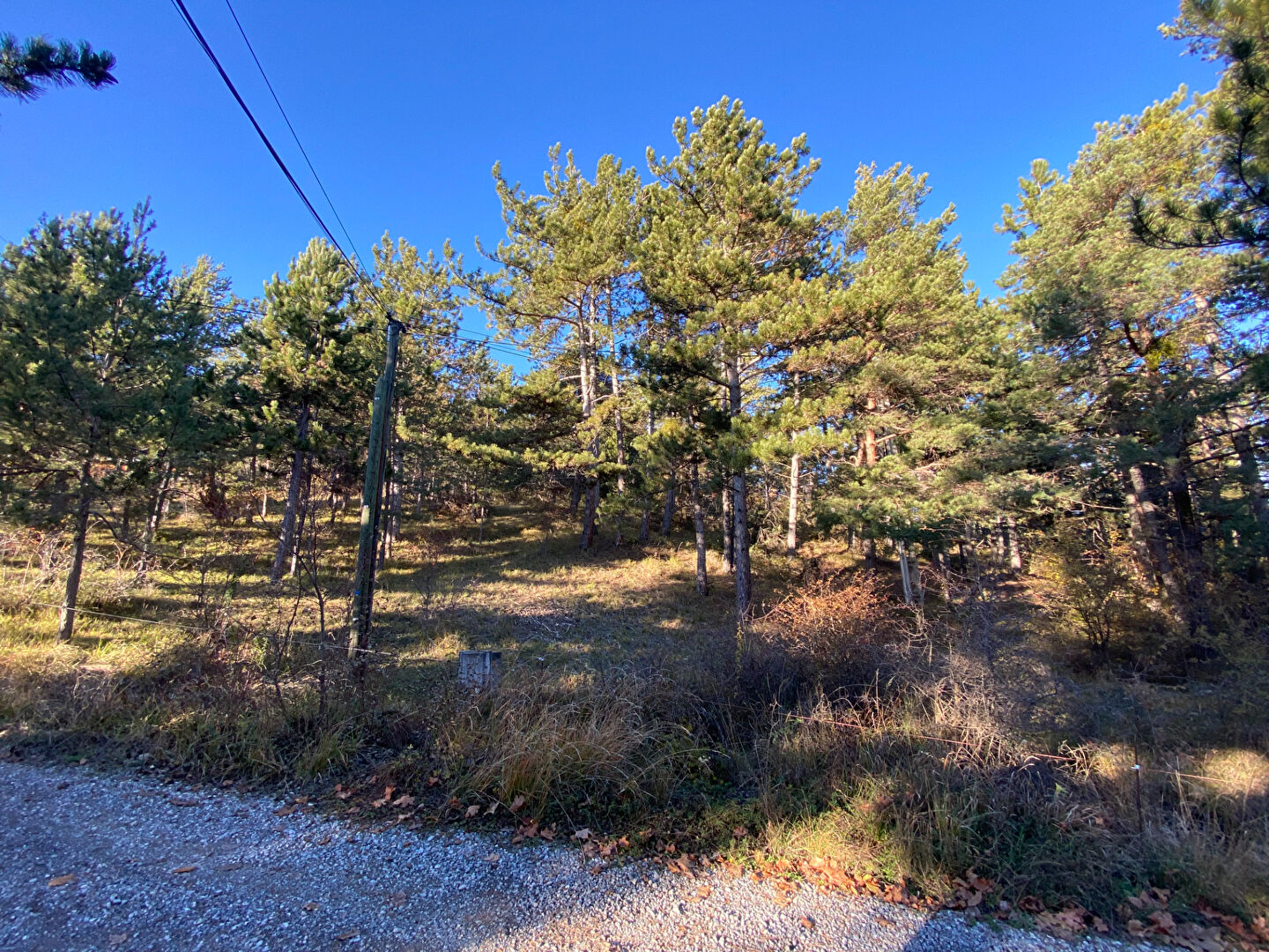 Agence immobilière de Square Habitat Embrun