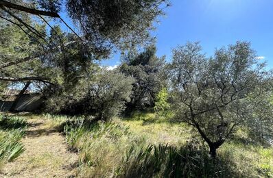 vente terrain 169 000 € à proximité de Saint-Rémy-de-Provence (13210)