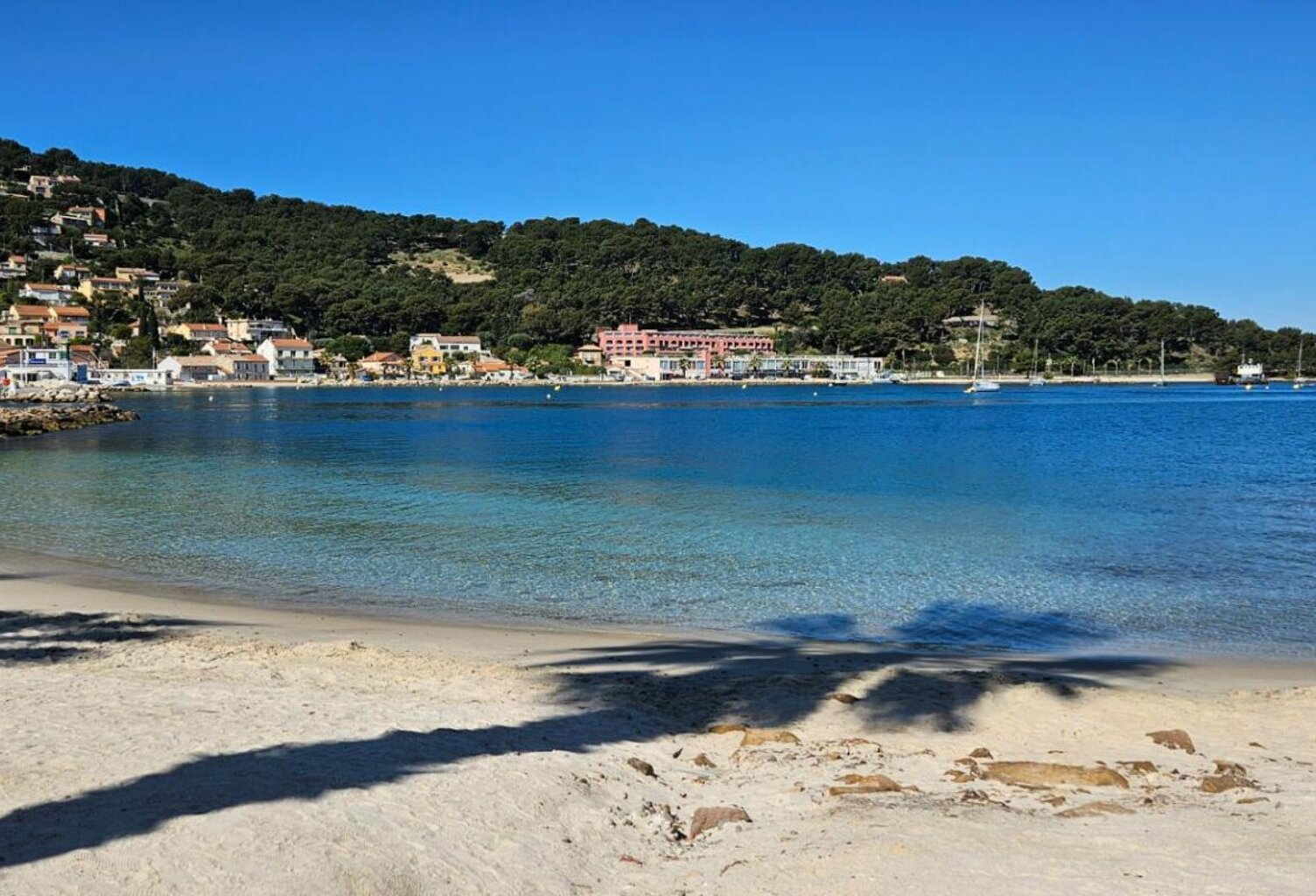 Restaurant sur le Port de Saint Mandrier pieds dans l'eau murs + fonds — photo 1