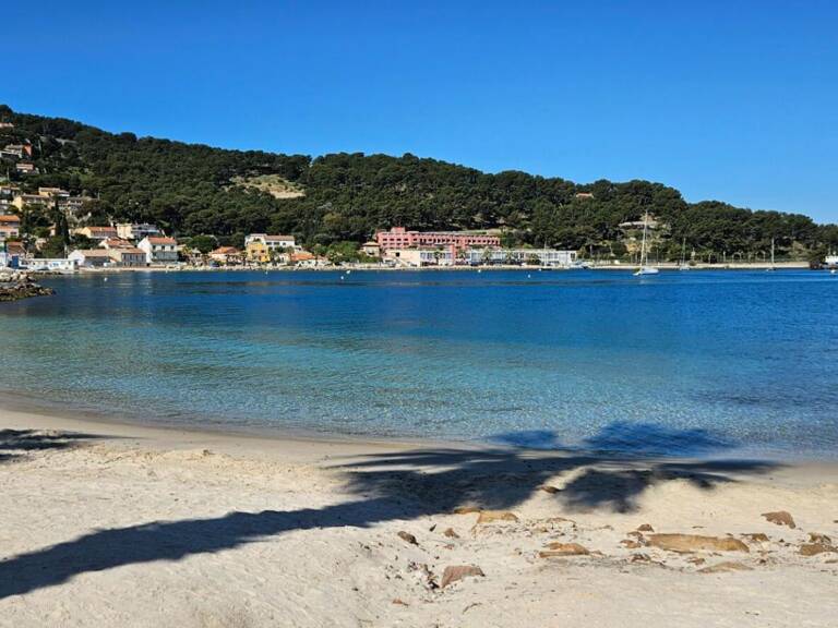 Restaurant sur le Port de Saint Mandrier pieds dans l'eau murs + fonds — photo 1