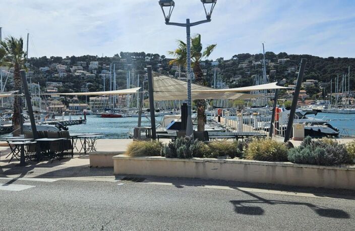 Restaurant sur le Port de Saint Mandrier pieds dans l'eau murs + fonds — photo 5