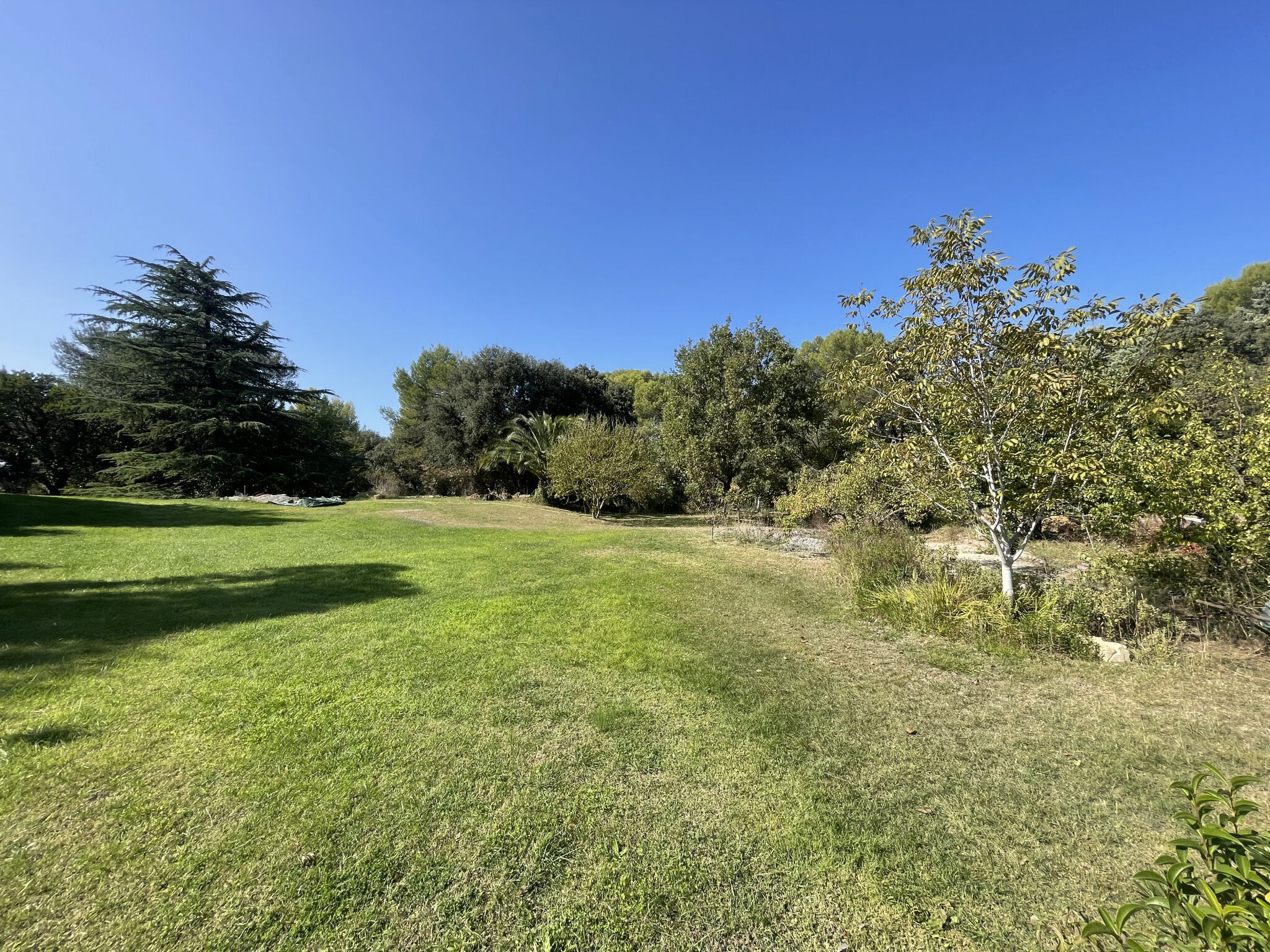 Terrain  à vendre Beaulieu 34160