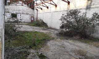 Photo N° 2