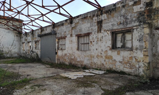 Photo N° 3