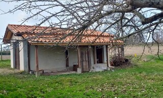 Photo N° 3