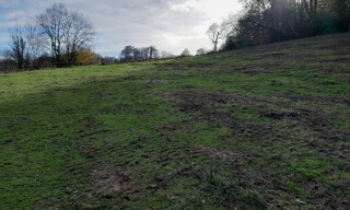 Photo N° 4