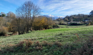 Photo N° 6