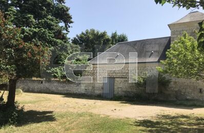 vente maison 205 000 € à proximité de Fontevraud-l'Abbaye (49590)