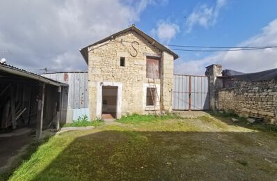 vente maison 33 000 € à proximité de Marçay (37500)
