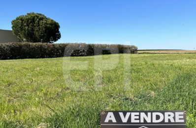 vente terrain 20 000 € à proximité de Aubigné-sur-Layon (49540)