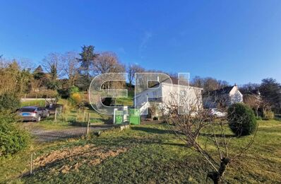 vente maison 220 000 € à proximité de Fontevraud-l'Abbaye (49590)
