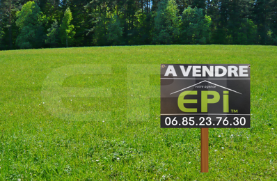vente terrain 43 000 € à proximité de Saint-Loup-Lamairé (79600)