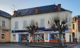 Commerce 1 Pièce 100 m² à vendre à Chabris (36210)