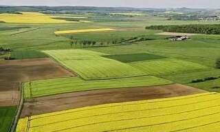 Terrain  9200000 m² à vendre à Charenton-du-Cher (18210)