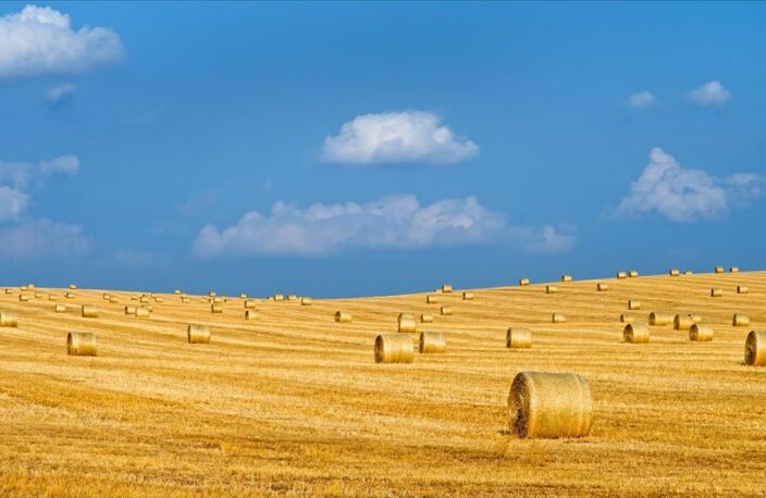 Vente terrain  9200000 m² Charenton-du-Cher (18210) — photo 2