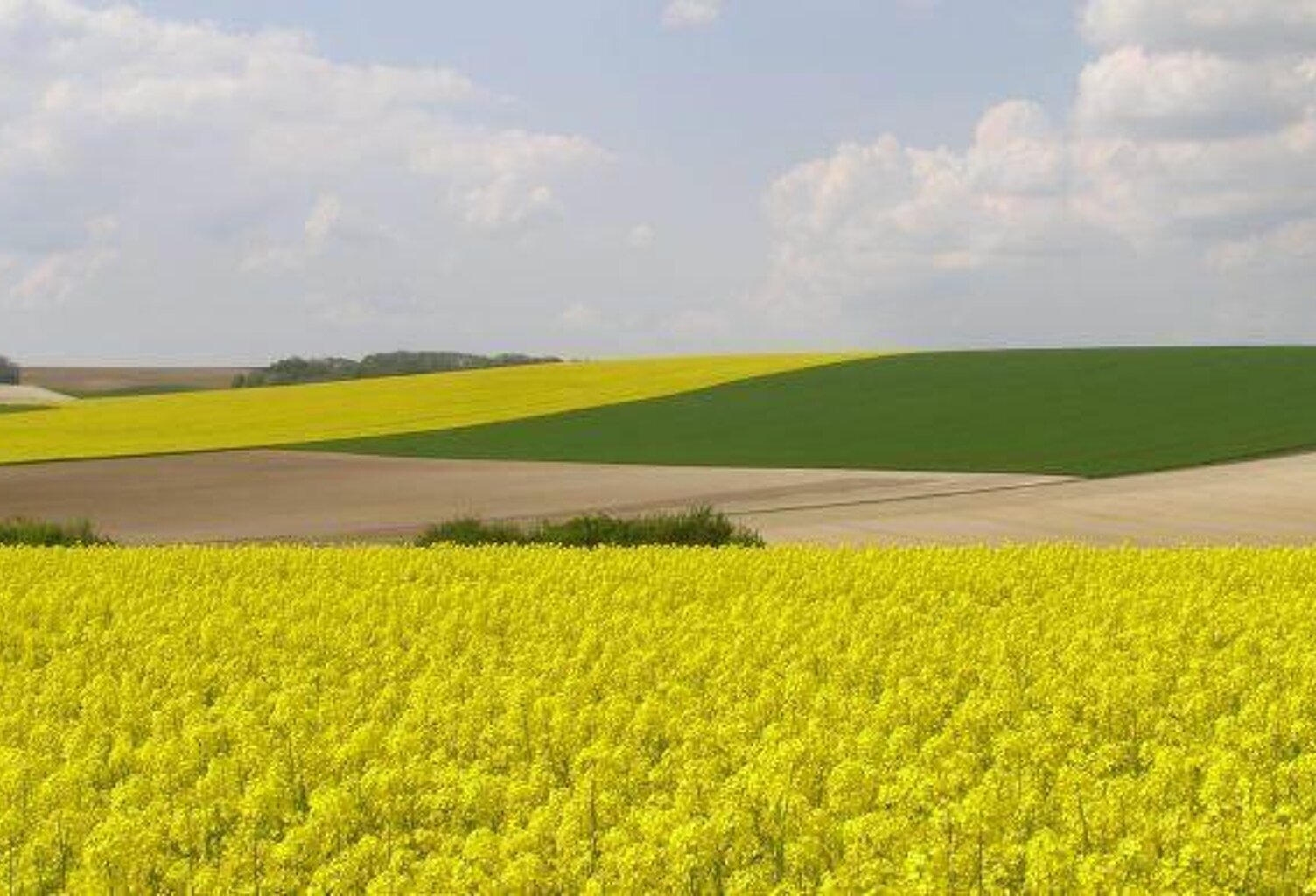 Vente terrain  120000 m² Guilly (36150) — photo 1
