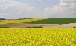 Terrain  120000 m² à vendre à Guilly (36150)