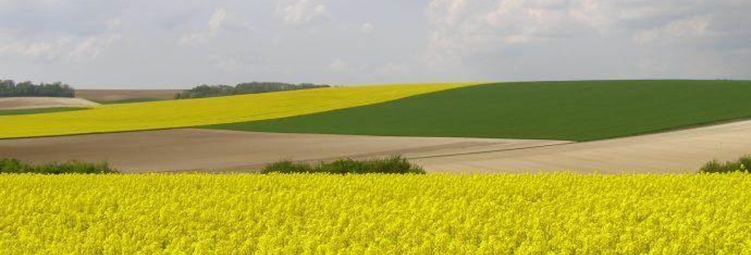 Terrain  120000 m² à vendre à Guilly (36150)