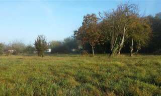 Terrain  2500 m² à vendre à Luçay-le-Mâle (36360)