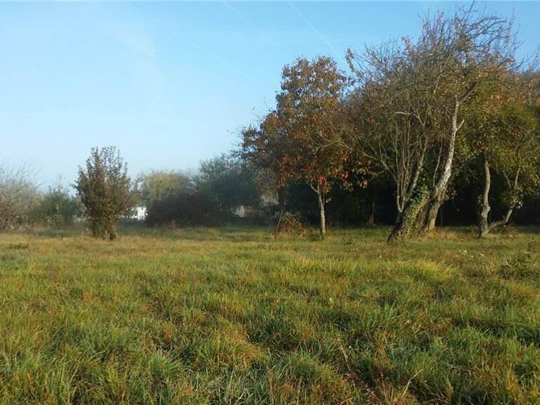 Terrain à construire  2500 m²  — photo 1