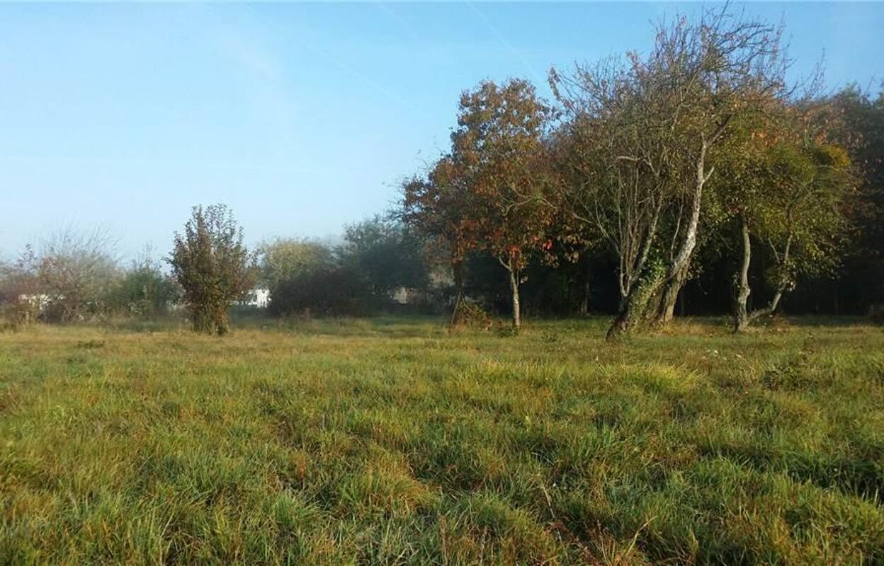 terrain  pièces 2500 m2 à vendre à Luçay-le-Mâle (36360)