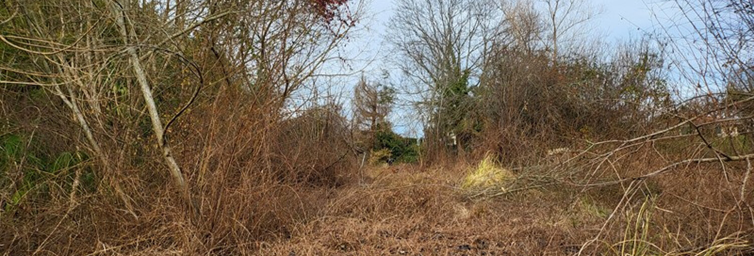 Terrain  2313 m² à vendre à Salies-de-Béarn (64270)