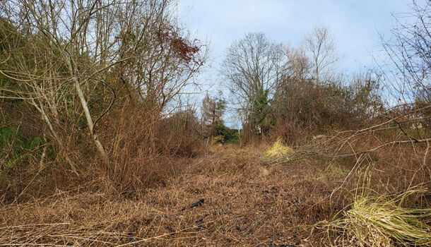 Terrain  à vendre Salies-de-Béarn 64270