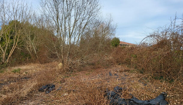 Terrain  à vendre Salies-de-Béarn 64270