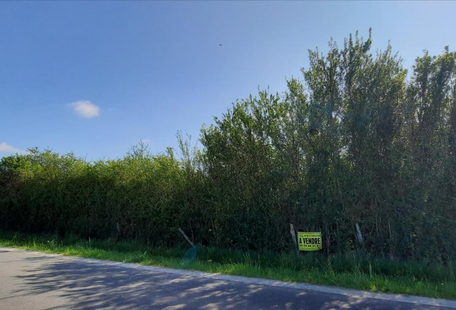 Vente terrain  2843 m² Langé (36600) — photo 1