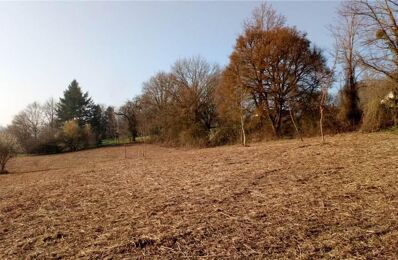 terrain  pièces 5000 m2 à vendre à Vicq-sur-Nahon (36600)