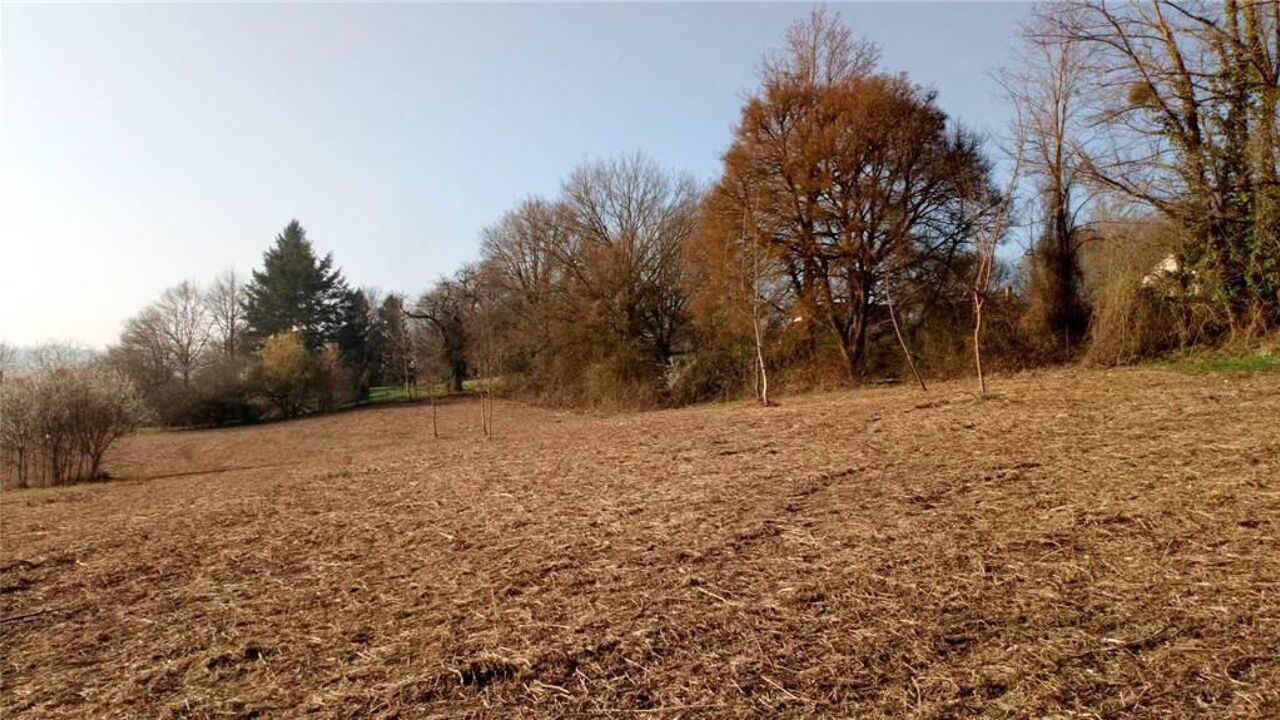 terrain  pièces 5000 m2 à vendre à Vicq-sur-Nahon (36600)