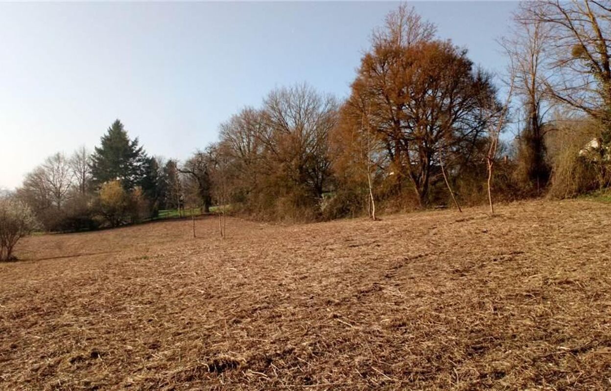 terrain  pièces 5000 m2 à vendre à Vicq-sur-Nahon (36600)