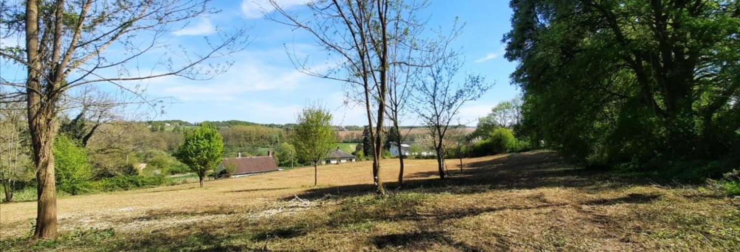Terrain  5000 m² à vendre à Vicq-sur-Nahon (36600)