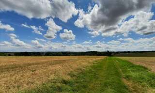 Terrain  4110000 m² à vendre à Bourges (18000)