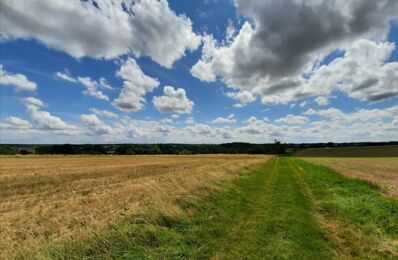 vente terrain 8 240 000 € à proximité de Saint-Germain-du-Puy (18390)