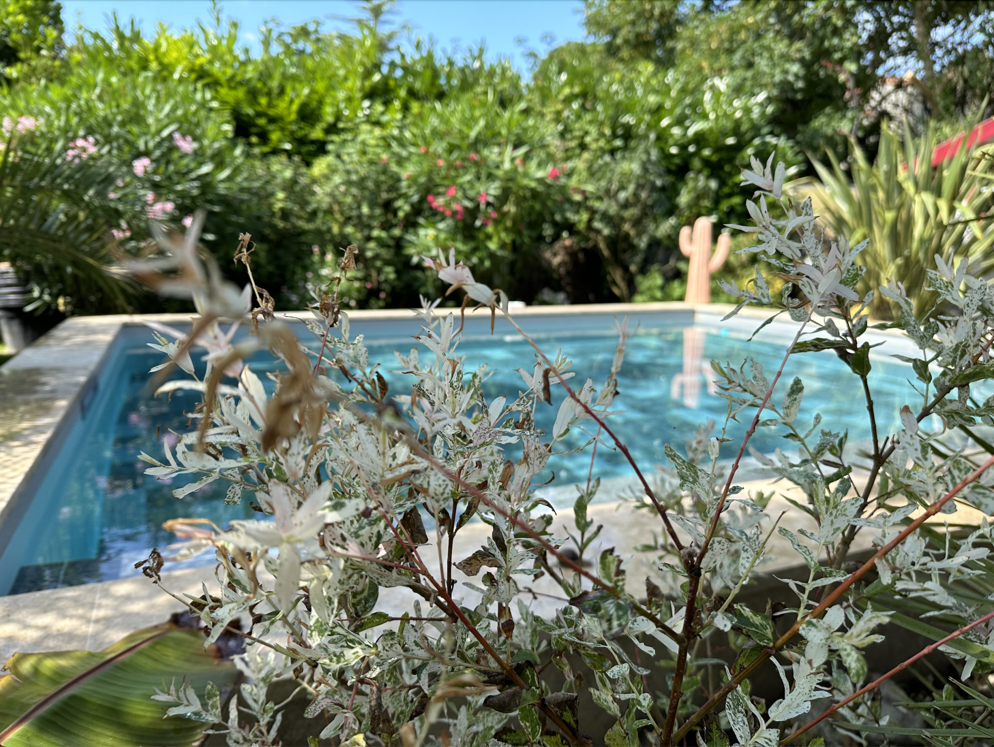 Villa / Maison  T4 à louer Royan 17200