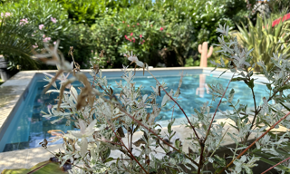 location vacances Maison 4 Pièces 100 m² à Royan (17200)