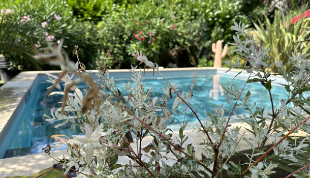 Villa / Maison 4 pièces  à louer Royan 17200