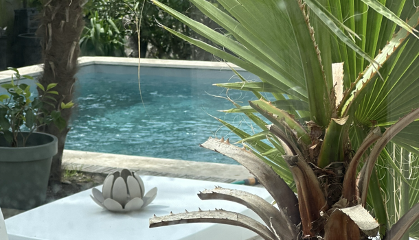 Villa / Maison 4 pièces  à louer Royan 17200