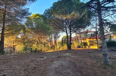 terrain  pièces 1430 m2 à vendre à Montesquieu-des-Albères (66740)