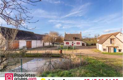 maison 14 pièces 295 m2 à vendre à Saint-Julien-sur-Cher (41320)